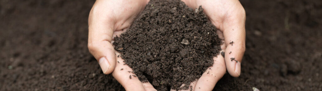 Top view. Farmer holding soil in hands.  The researchers check the quality of the soil.  Agriculture, gardening or ecology concept layout , copy space.